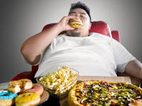 Hungry Brain